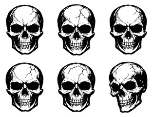 Hand drawn line art skull set featuring six detailed grimacing skulls for halloween and gothic themes