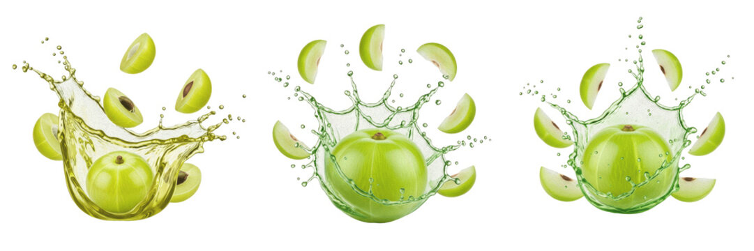 Amla fruit Phyllanthus emblica, amla with juice splash, indian gooseberry emblic fruit round green berry oil paint
