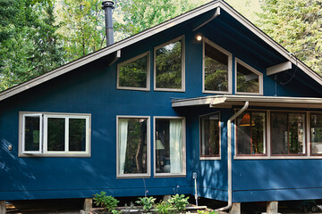 Windows of the forest