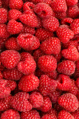 Tasty fresh raspberry as a background.