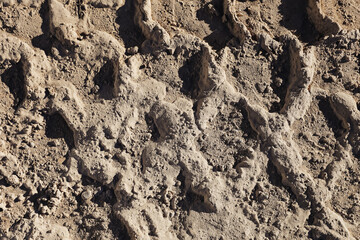 Dry soil texture background. Cracked earth with rough clods. Natural ground surface pattern. Brown dirt closeup detail. Arid land structure. Rural terrain backdrop. Harsh dry climate concept.