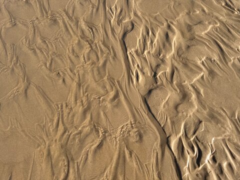 Natural sand texture with soft organic ripples and subtle shadows. Minimal abstract background inspired by wind patterns and desert surfaces. Neutral earthy tones suitable for design, print, and digit
