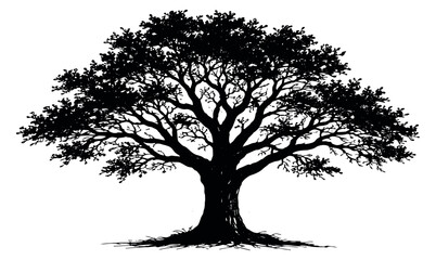 Hand drawn line art illustration of a tree depicting a majestic silhouette for nature and environmental design