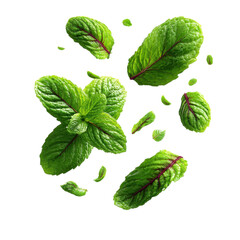 Fresh Mint Sprigs: A vibrant and aromatic display of fresh mint sprigs, with lush green leaves and hints of red, floating in mid-air. An inviting image of culinary freshness and natural goodness.