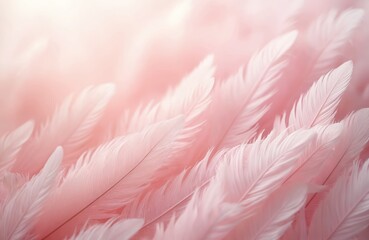 Close-up abstract view of delicate light pink feathers. Soft textured downy plumes create a dreamy, fluffy pattern. Gentle pastel colors blend creating a serene, airy background.