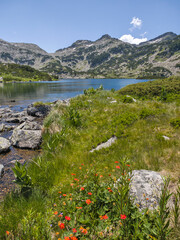 Pirin Mountain near Popovo Lake, Bulgaria