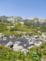 Pirin Mountain near Popovo Lake, Bulgaria