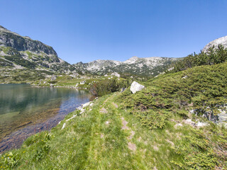 Pirin Mountain near Popovo Lake, Bulgaria