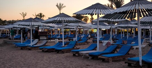 Rows of beach umbrellas and sun loungers on the seashore in the evening twilight