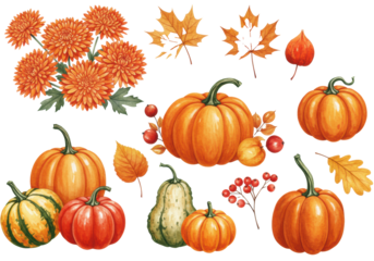 Vibrant watercolor orange chrysanthemums, diverse autumnal pumpkins, gourds, and fall leaves artfully arranged on a transparent background for copy space, Concept of Thanksgiving celebration