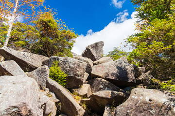 日本の風景・秋　長野県佐久穂町　紅葉の北八ヶ岳　高見石