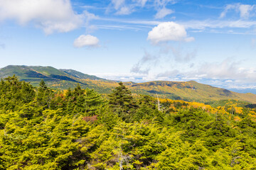 日本の風景・秋　長野県佐久穂町　紅葉の北八ヶ岳　高見石からの眺望
