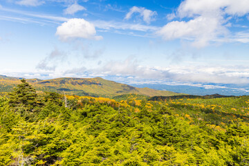 日本の風景・秋　長野県佐久穂町　紅葉の北八ヶ岳　高見石からの眺望