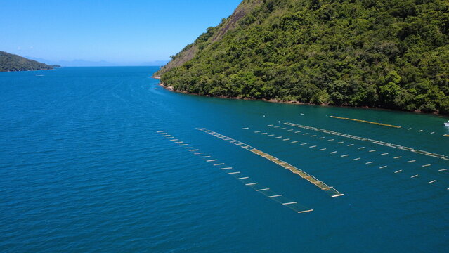Aerial view of seaweed aquaculture farms in tropical ocean