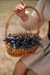Woman holds basket of lavender flowers while sitting in a field during sunny afternoon hours