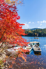 日本の風景・秋　長野県佐久穂町　北八ヶ岳　紅葉の白駒の池