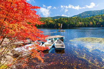 日本の風景・秋　長野県佐久穂町　北八ヶ岳　紅葉の白駒の池