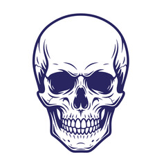 Fototapeta premium human skull illustration with detailed bone structure and facial expression isolated on transparent background