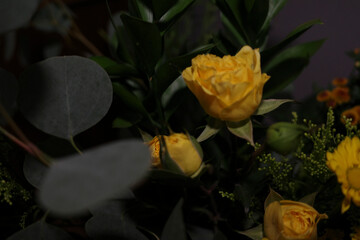 Wide variety of different types of floral images, 