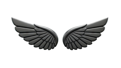 Glossy Black Angel Wings