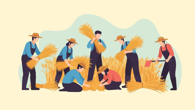 Group of farmers harvesting wheat in a field together.
