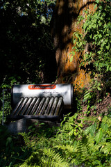 Solar Water Heater Installed Outdoors Amid Dense Green Foliage