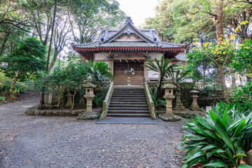 静岡県沼津市　木漏れ日が差し込む諸口神社の境内と参道
