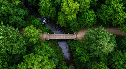 Aerial view of a tranquil wooden footbridge crossing a gentle stream through a dense, vibrant green