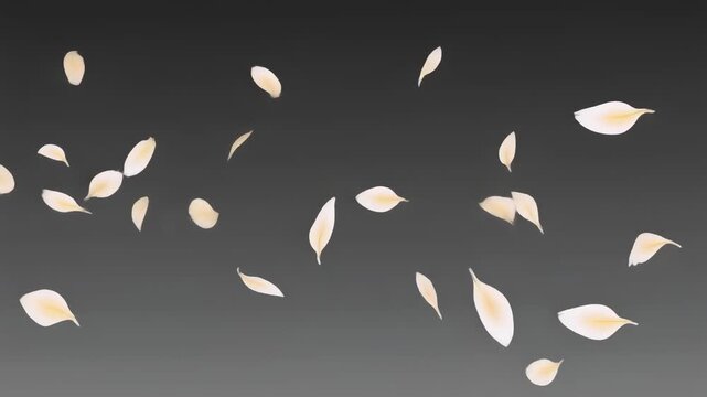 White leaves floating in the air against a dark gray background.