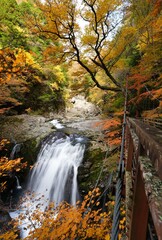 滝と紅葉が美しい秋のみたらい渓谷