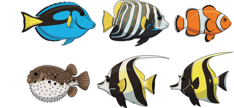 Realistic Tropical Fish Illustration Set with Detailed Marine Species for Ocean Life Education, Aquarium Graphics, Seafood Branding, and Vector Designs