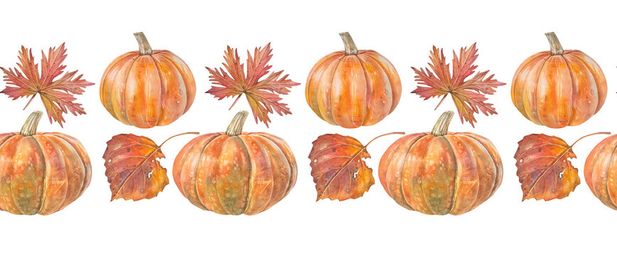 Watercolor seamless border with orange pumpkin and leaves on white background. October autumn vegetable raw food for sticker or halloween card. Rim for kitchen. Wallpaper and wrapping or textile