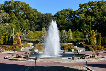 京都府立植物園　噴水　冬	