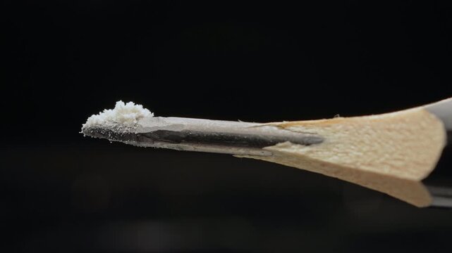Lethal dose of fentanyl on the tip of a pencil. Two milligrams of fentanyl is lethal dose for humans. Synthetic narcotic analgesic drug. Tiny pile of powder on a pencil tip to give a sense of scale.