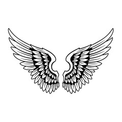 Fototapeta premium Detailed black and white illustration of symmetrical angel wings with intricate feather patterns, spread wide.