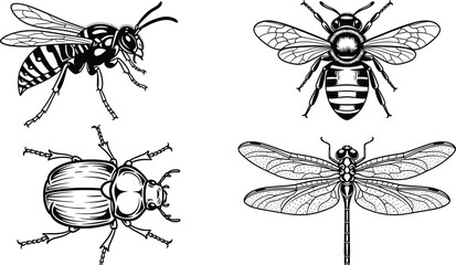 “Detailed black and white vector illustration set featuring wasp, honey bee, beetle, and dragonfly with intricate linework, natural insect designs, and decorative elements” © Gita