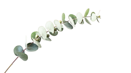 Green and White Leaves on a Geometric Background green leaves