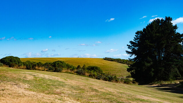 beutiful landscape green rolling hills blue sky scenery idyllic new zealand