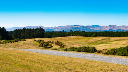 Fototapeta premium beutiful landscape green rolling hills blue sky scenery idyllic new zealand