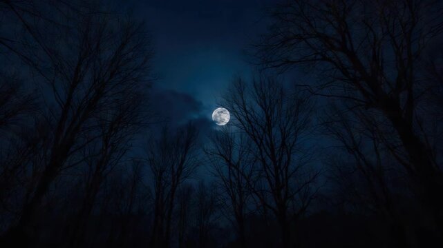 Full moon glowing through bare tree branches over dark winter forest night, eerie blue mood
