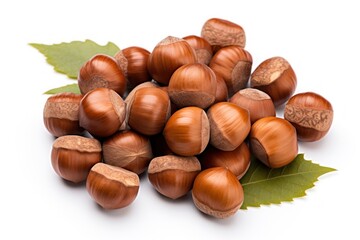 Obraz premium Forest nuts hazelnuts vegetable plant food.