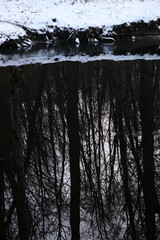 Lake reflection. Winter landscape during sunset. Trees covered with snow. Sun rays through the trees