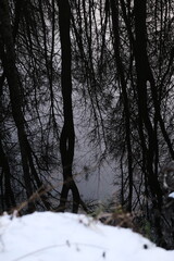 Lake reflection. Winter landscape during sunset. Trees covered with snow. Sun rays through the trees