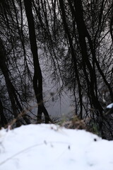 Lake reflection. Winter landscape during sunset. Trees covered with snow. Sun rays through the trees