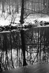 Lake reflection. Winter landscape during sunset. Trees covered with snow. Sun rays through the trees