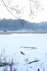 Winter landscape during sunset. Trees covered with snow. Sun rays through the trees