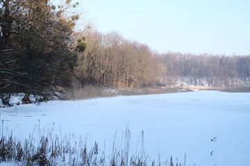 Lake reflection. Winter landscape during sunset. Trees covered with snow. Sun rays through the trees