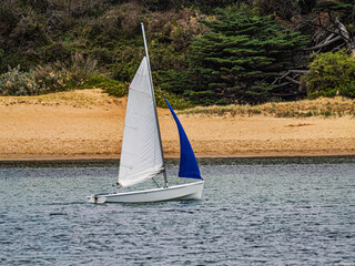 Puffin Pacer Sail Boat Blue Spinnaker