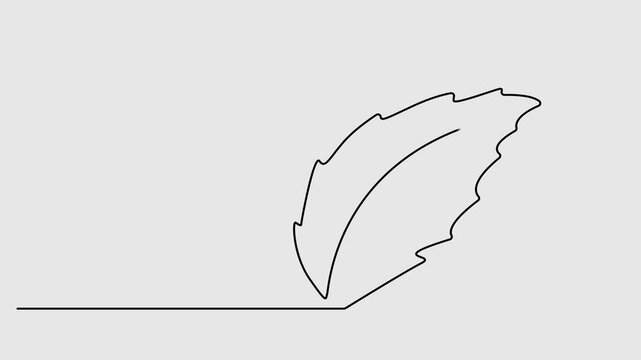 leaf continuous one line drawing animation, leaf continuous one line drawing animation, Sprout, one line drawing animation. Video clip with alpha channel, leaves continuous one line drawing on black