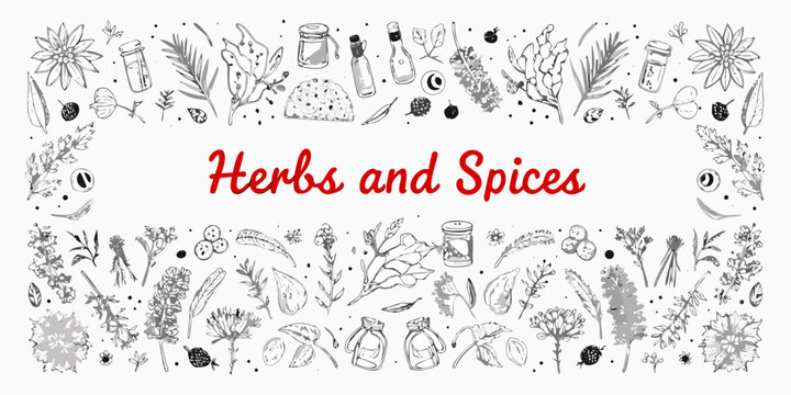 A decorative illustration featuring various herbs spices and botanical elements
